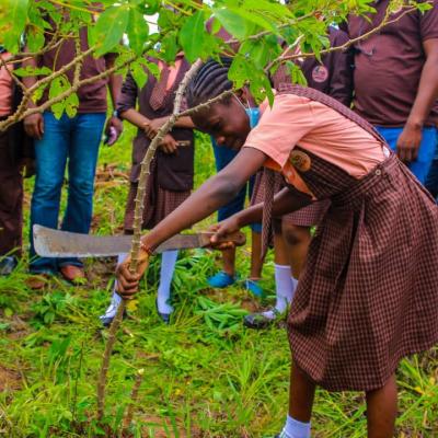 Practical Agric 4
